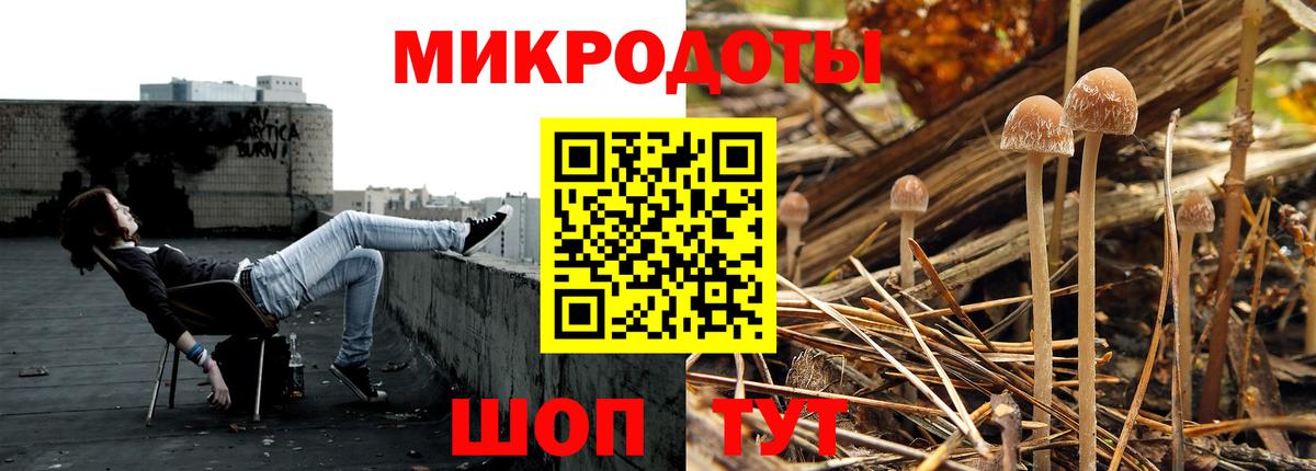 Дербент  Галлюциногенные грибы прущие грибы  Вход с VPN 